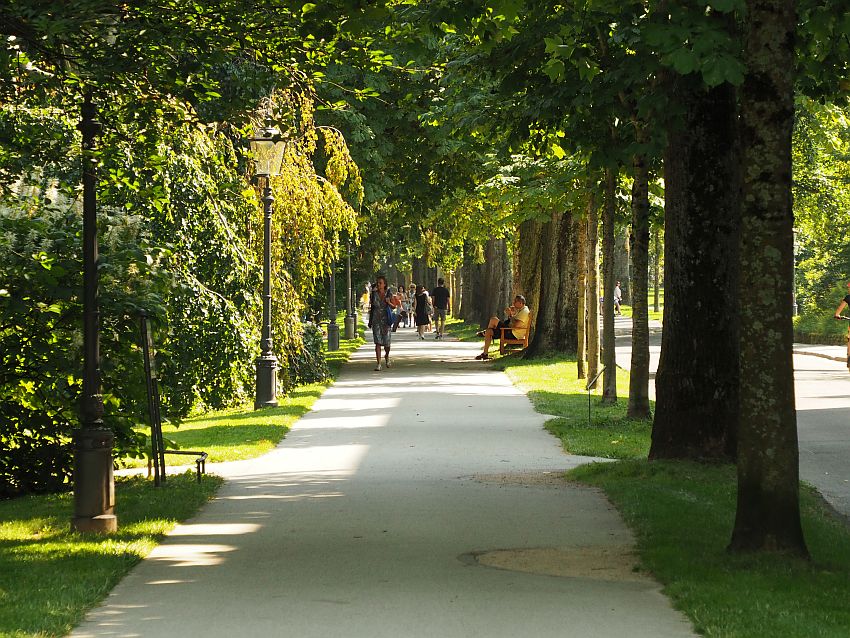 Looking down a wide, paved walking path, neat rows of green trees on either side, and a row of old-fashioned street lamps on the left. People visible walking on the path in the distance.