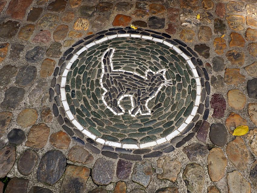 The stones of the mosaic are smaller than the stone of the pavement around it, and they are arranged in concentric circles, except the white stones that form the outline of a cat.