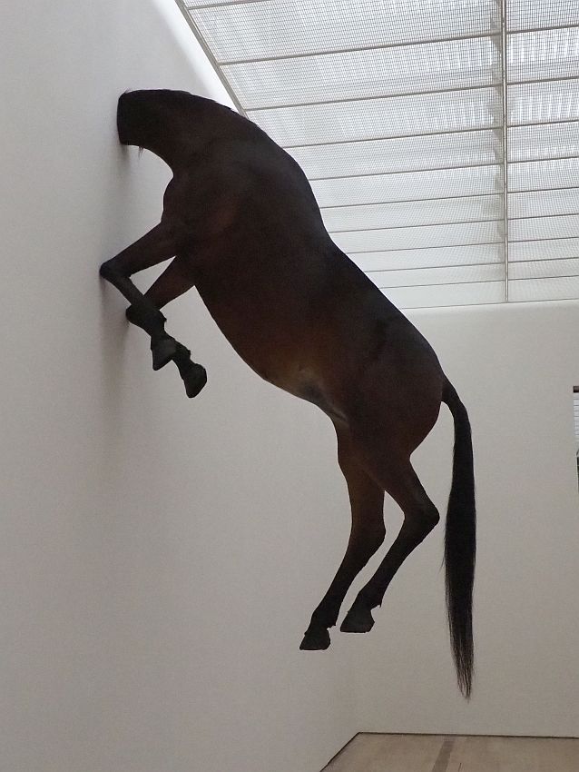 The horse is a full-sized, 3-dimensional, brown horse. It seems completely intact, except that it is attached to the wall by its neck, as if its head is inside the wall. Besides the neck, only the knees of the front legs touch the white wall. 