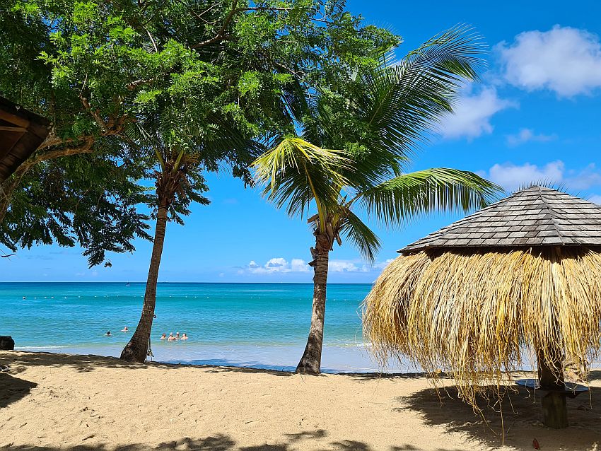 A beach view looking straight at the blue sea, two trees (one of them a palm tree) and a thatched shelter.