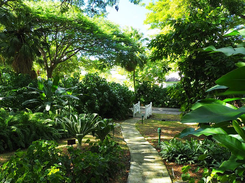 At East Winds Resort in Saint Lucia, a path curves gently ahead, leading to a small bridge with white-painted railings on either side. On either side of the path, lush plant life, some of it low flower beds and shrubs, some of it full trees. 