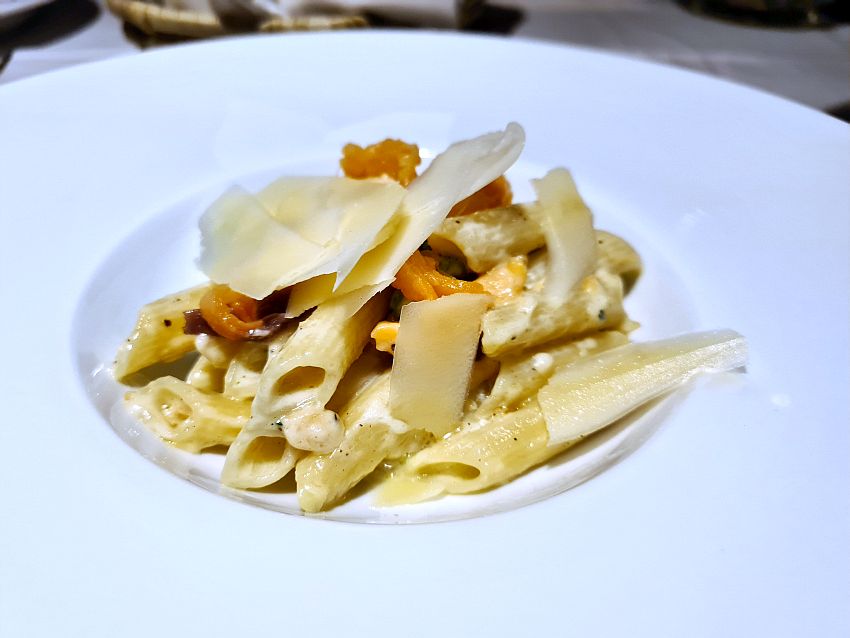 In a small bowl with a very wide edge, just a small amount of pasta - ziti, to be specific, with a bit of a white sauce and orange pieces of fish.