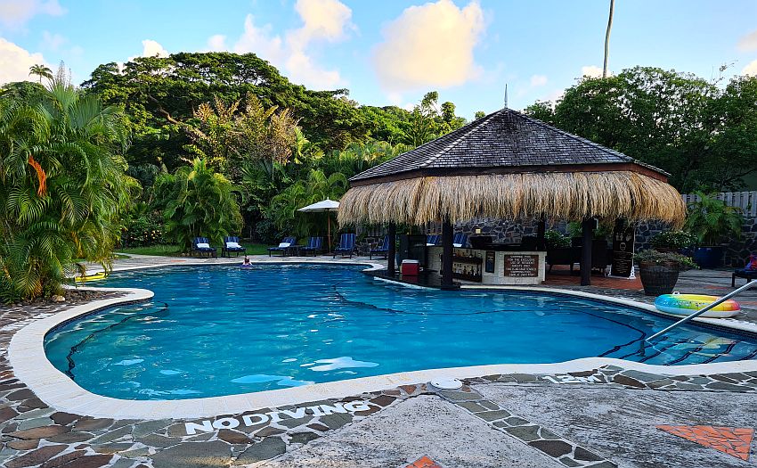 The pool is a freeform shape, curved in rounded shapes, with blue water. One person soaks at the far end. On the right is a small roofed building with thatch around its edge, and the bar is under that roof. Along the near edge of the pool on the stone pavement are the words "No diving 1.2 M"