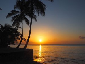 An orange glowing sun in a dark sky sits just above the horizon, sending a line of orange across the water toward the camera. To its left is the silhouette of two palm trees and some other shorter tree.