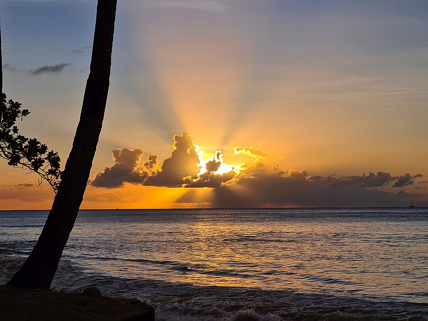 On the left, the trunk of a palm tree crosses the picture, silhouetted against the sunset in the background. It's quite a spectacular one, since the sun is behind a cloud, which makes the sunbeams more distinct shining from behind the cloud. 