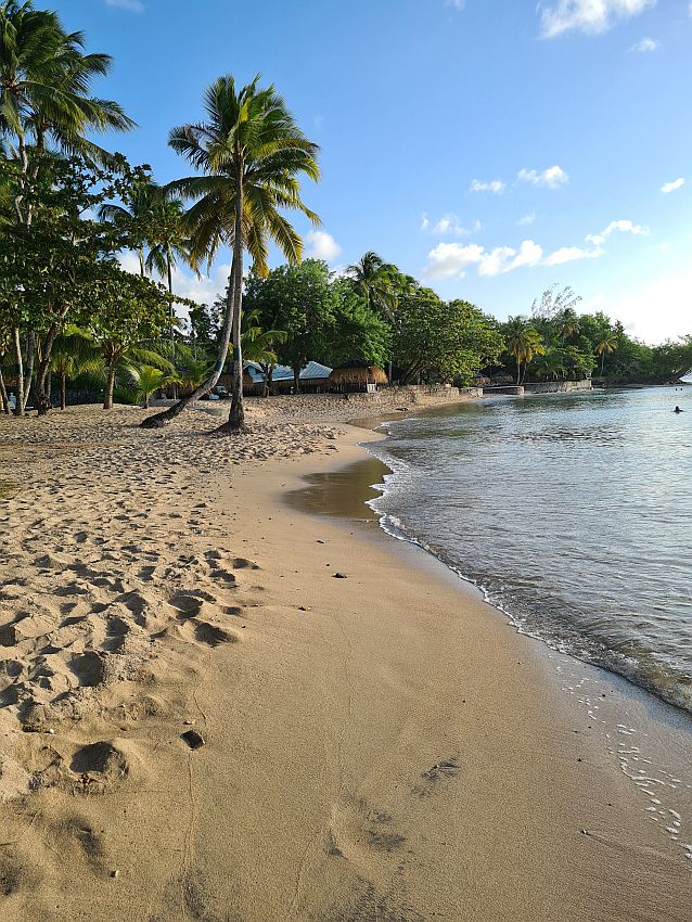 View along the beach at East Winds resort on St Lucia: light brown sand, palm trees, calm water.