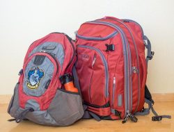 Two red backpacks, one smaller than the other.