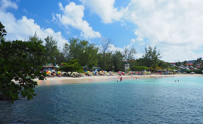 At Pigeon Island Beach on Saint Lucia, a strip of beach, as seen from the water side, with trees behind it. The beach is lined with colorful beach umbrellas and people in lounge chairs. A few people swim in the very calm water. 