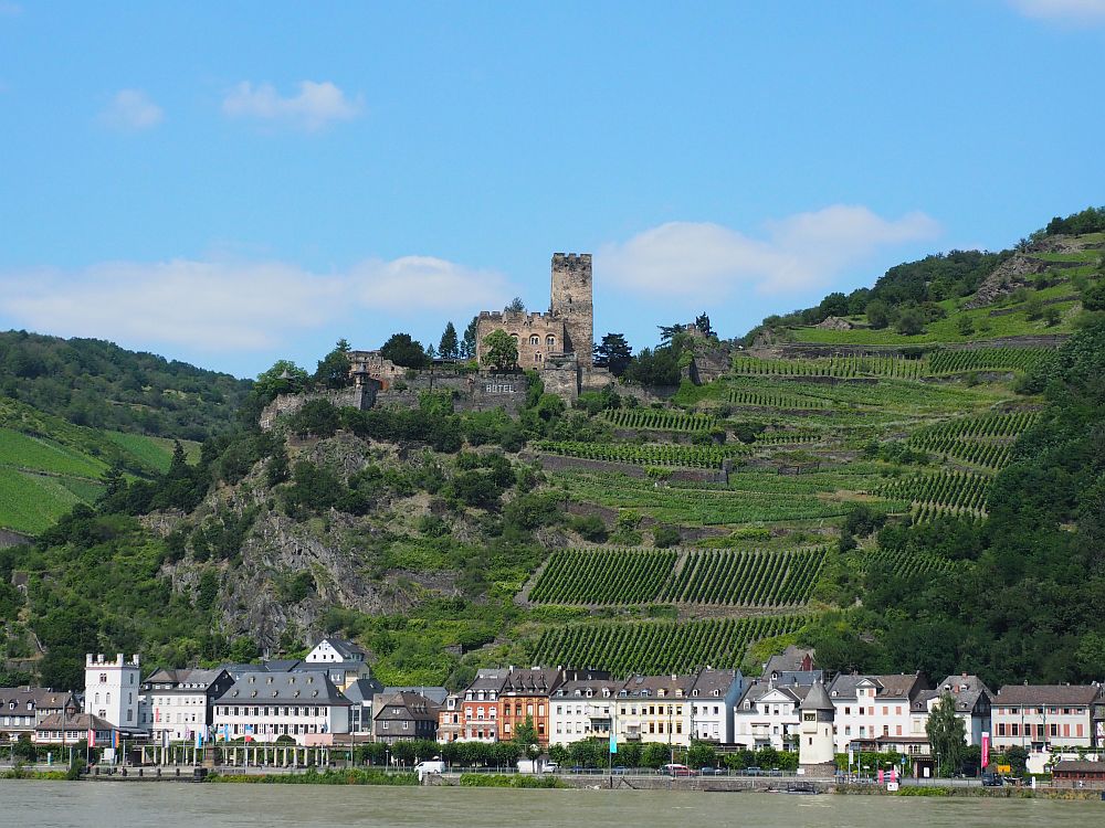 Gutenfels Castle, one of the Rhine Valley Castles, sits on a spur of land with a tall square tower. Vineyard down the hill, and a line of buildings right on the edge of the river below.