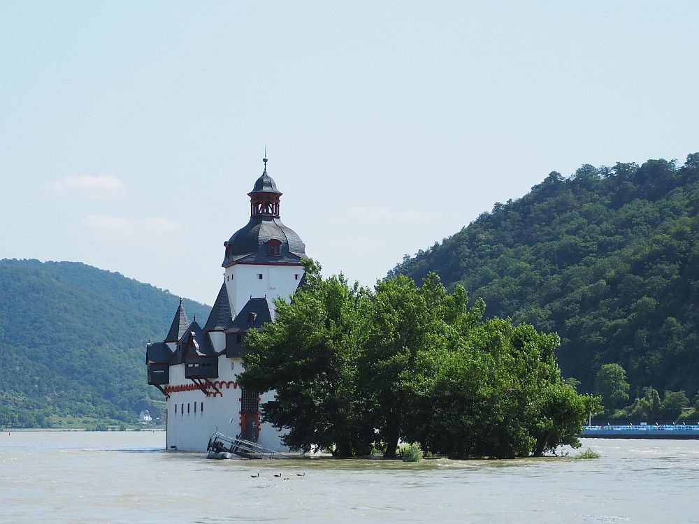 One of the Rhine Valley castles, Pfalzgrafenstein is white plaster with a number of pointed towers and turrets. It sits in the middle of the river, and some trees obscure part of the castle.