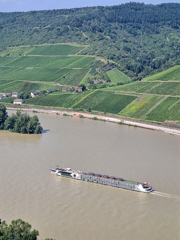 View from above looking down at the river. A long low cruise ship with rows of windows where the cabins are. Beyond that, on the opposite bank, lots of vineyards climbing the hill, with woods above them to the top.