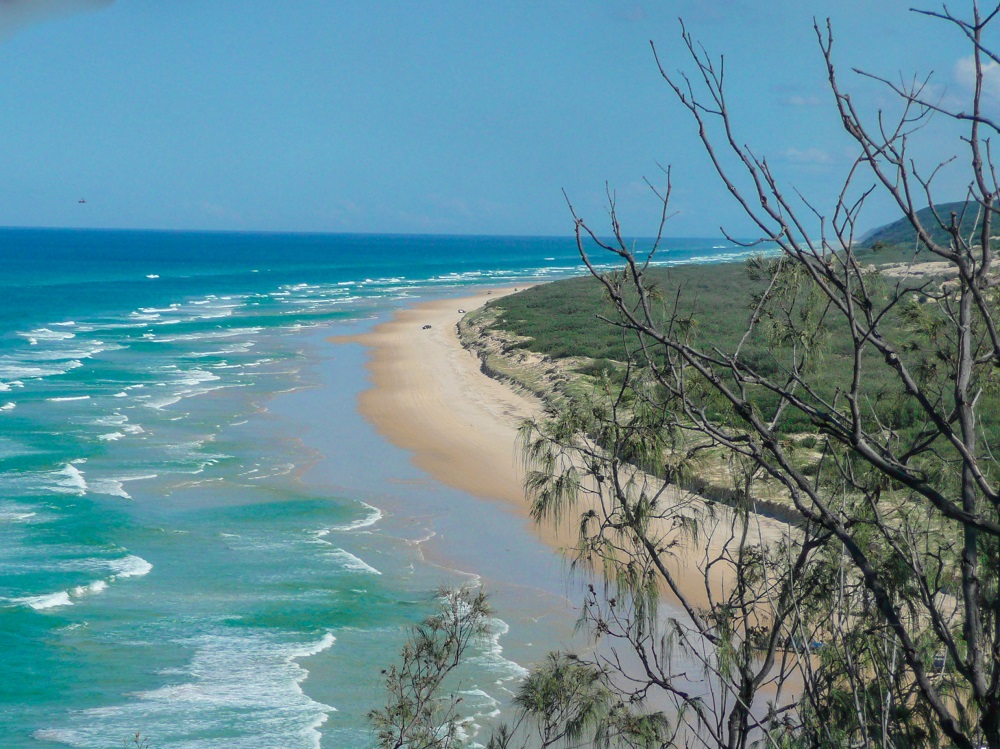 Looking down on a curve of beach, mostly empty, with scrubby dunes beyond it. The water here has bigger waves.