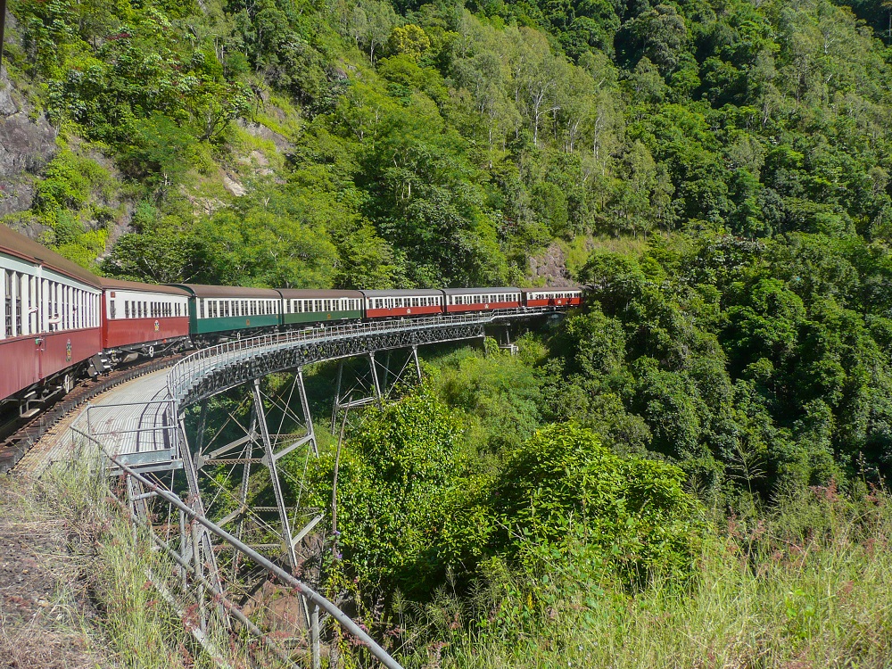 Taken from one end of the Kuranda Scenic train, looking along the train as it takes a curving bridge over a river or gorge, through a forest. The cars are all painted white with either green or red below the windows.