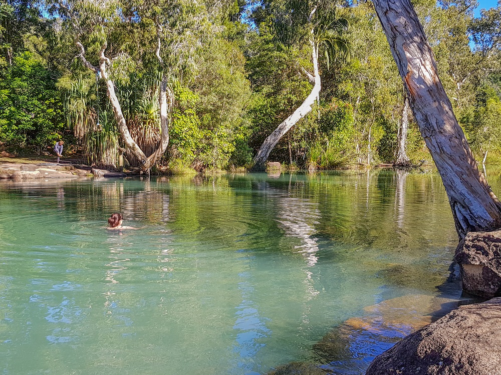 A still body of water with milky green water in it: a woman swims in the middle, forming ripples. Eucalyptus and other trees shade the water on both sides.