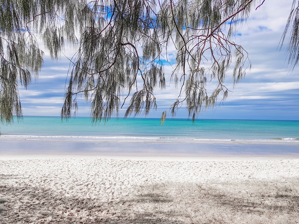 Looking from beneath the branches of a tree (across the top of the photo) across a strip of white-sand beach to the turquoise sea. Small waves. Woodgate Beach on the Queensland coast Brisbane-Cairns road trip route.