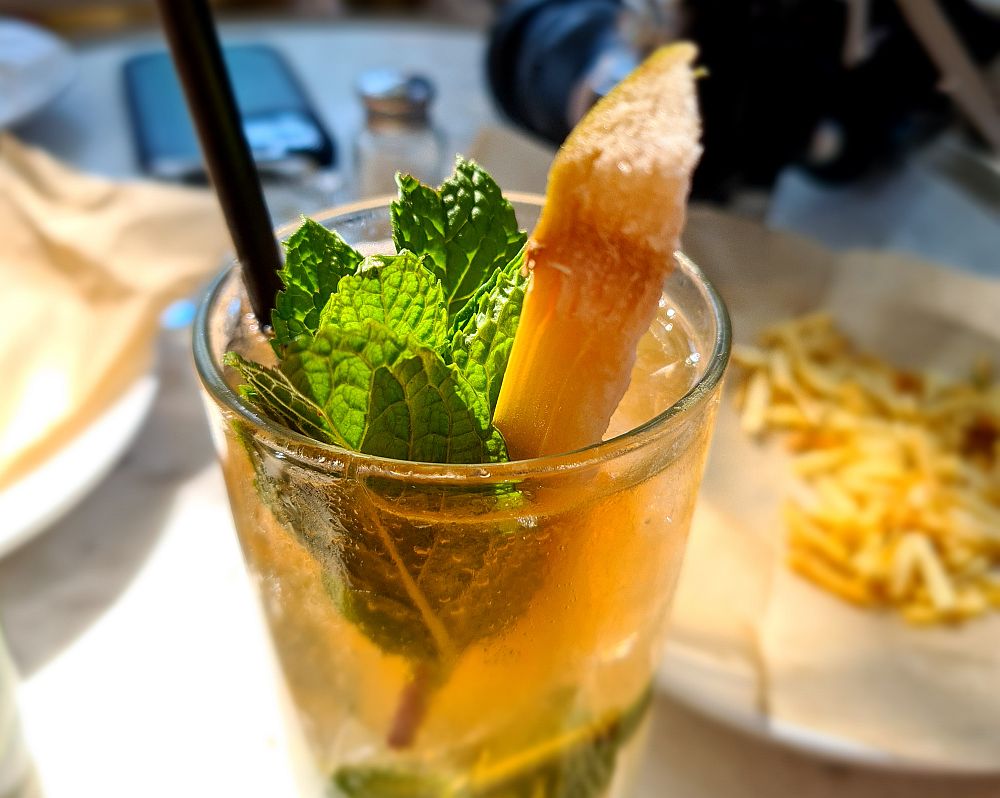 A close-up of a mohito: the liquid is yellowish, and it has fresh mint leaves sticking up on top of the liquid. A stick of sugar cane stands in the glass as well.