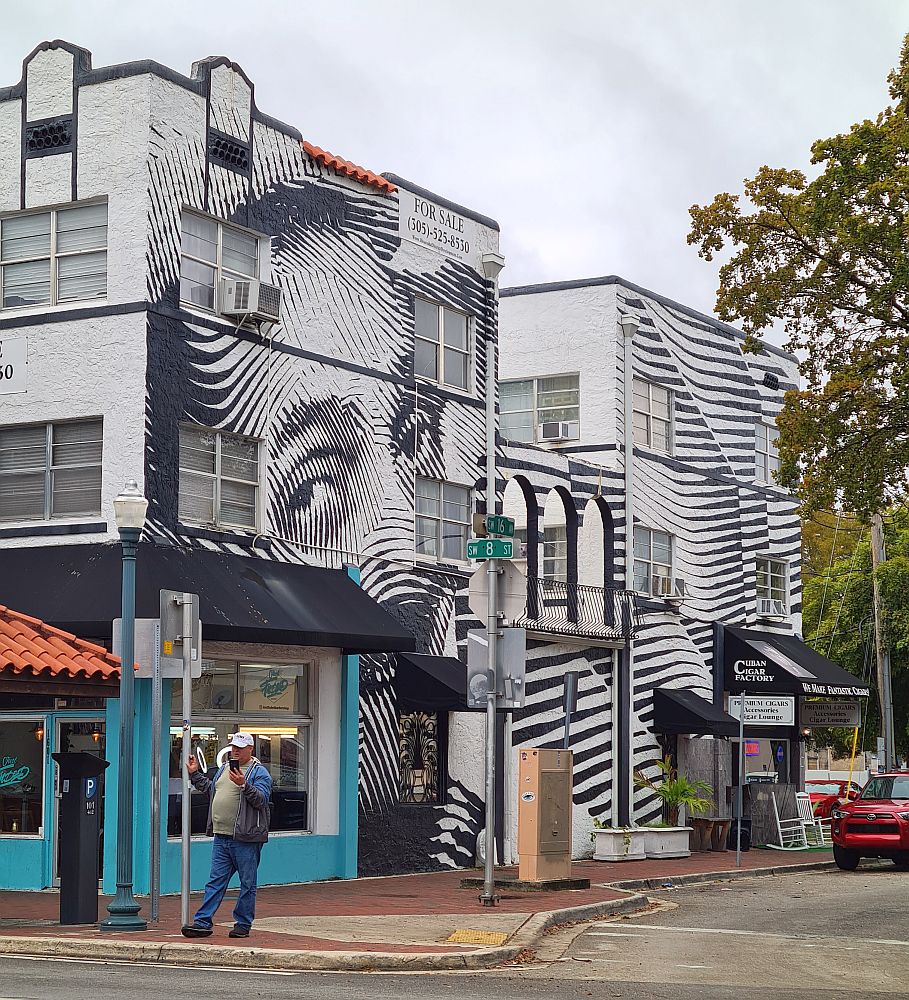 A street corner view: the side of the building is covered entirely with a mural that depicts a person's face in black and white, but it is depicted through stripes of black in various widths, like a linoleum print.