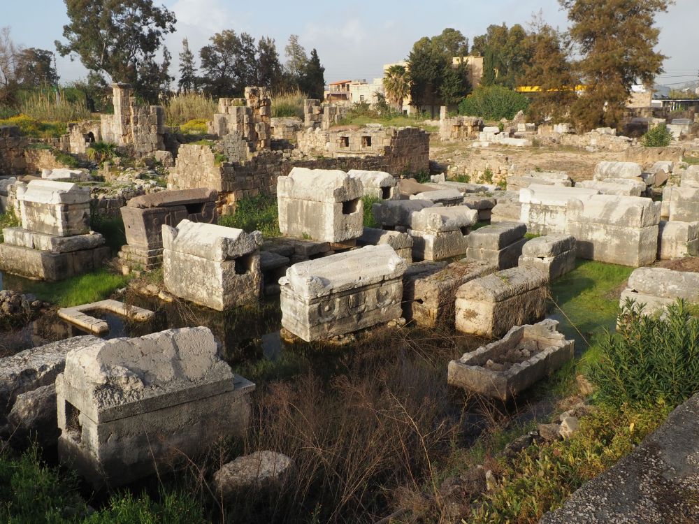 View over a field with many stone sarcophagi; in the background, a few tombs.