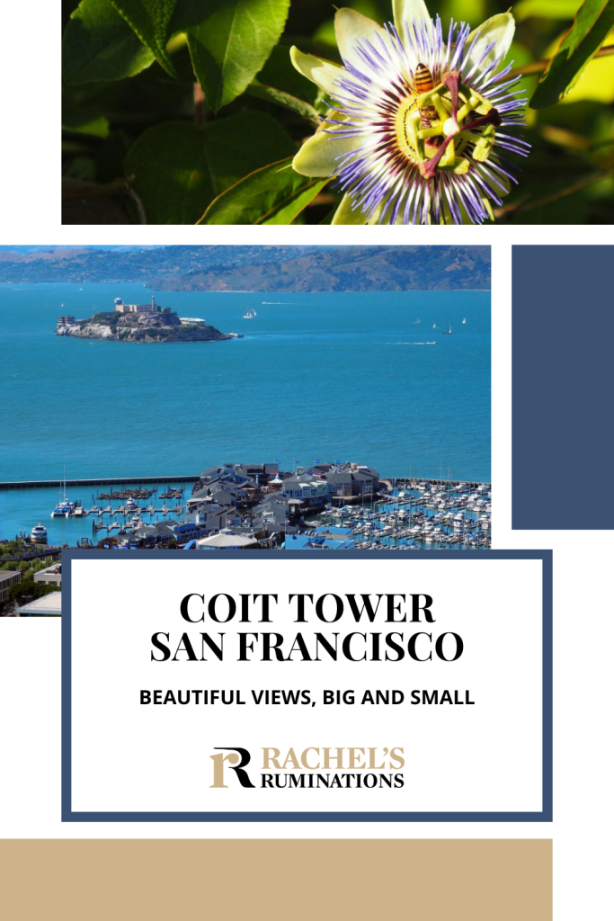 Text: Coit Tower San Francisco: Beautiful views, big and small (and the Rachel's Ruminations logo). Images: above, a close-up of a flower with a bee; below, a view across the water to Alcatraz Island.