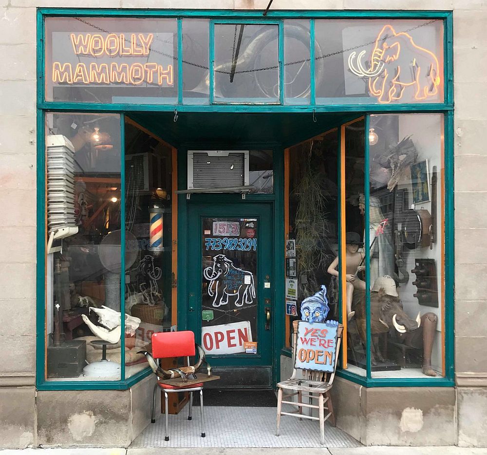 Storefront with Woolly Mammoth top left and a neon image of a mammoth top right. Odds and ends in the windows and also on two chairs either side of the door. One of the most unique places in Chicago.