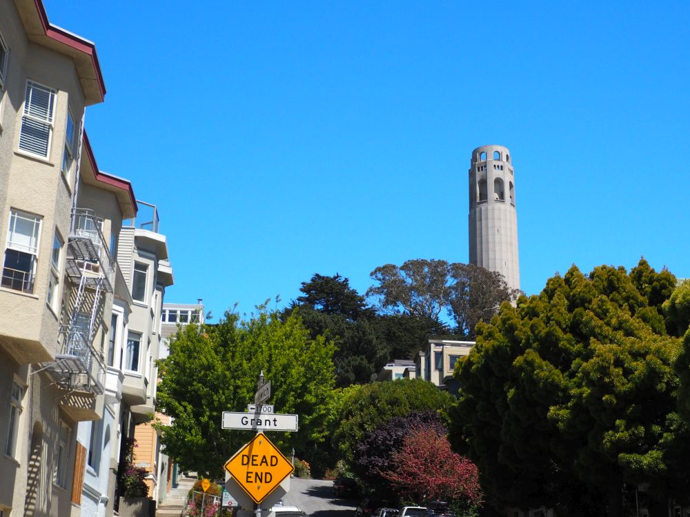 On the left, a row of small apartment houses. A street sign says "Grant" and "Dead End". The tower is a tall concrete cylinder on a tree-covered hill.