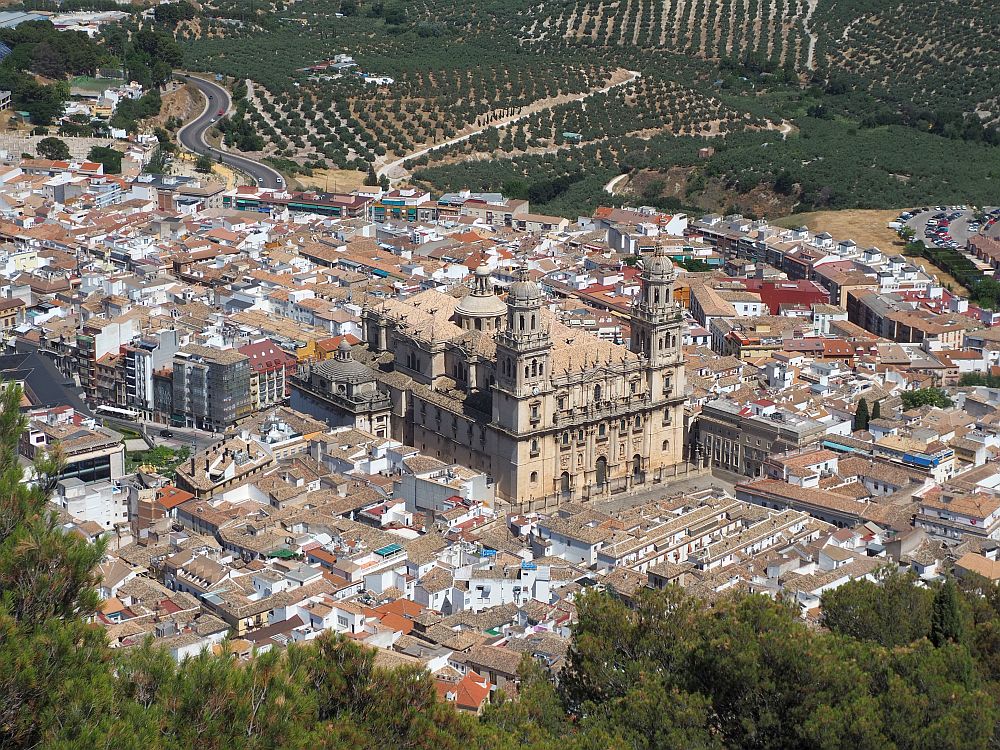 A view on a city of buildings with tiled roofs. The cathedral stands out among them, much taller than the surrounding buildings. Ornate front, matching towers on each side of the front. Olive groves at the edge of the city.