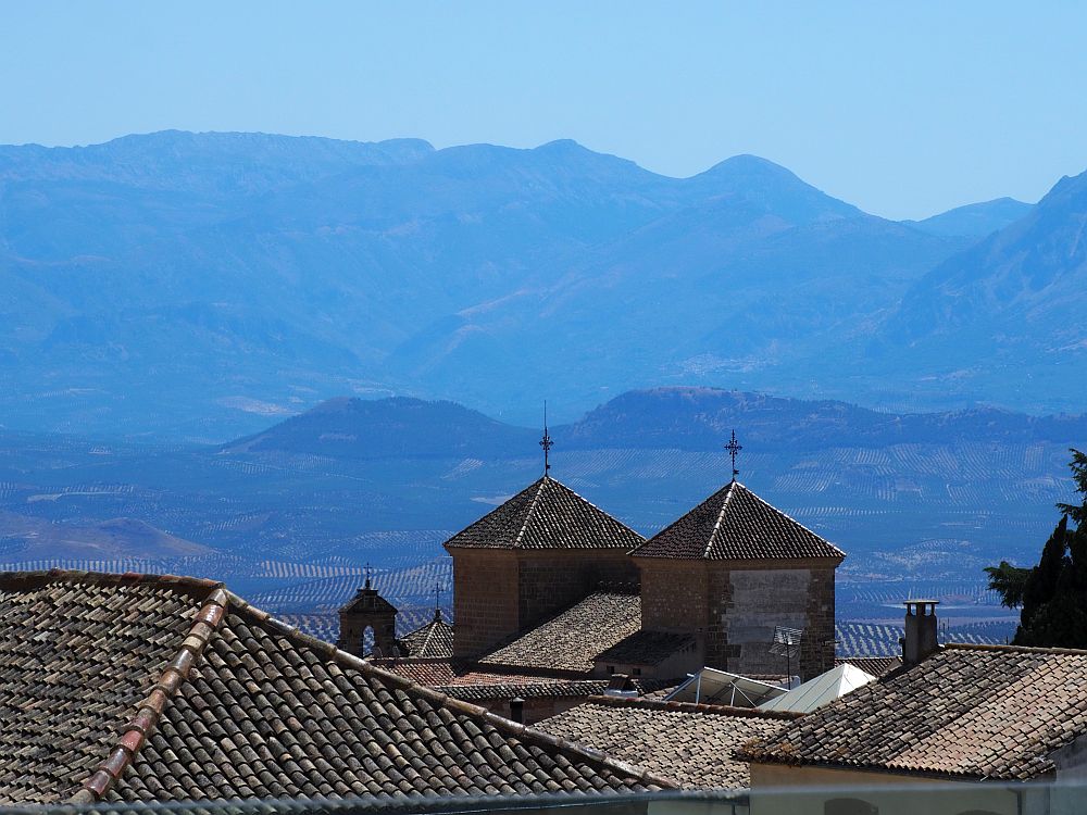 Roofs of tile, including two small square towers that might or might now be on a small church. Behind, in the valley, olive groves cover fields, and beyond those are some high looming mountains.