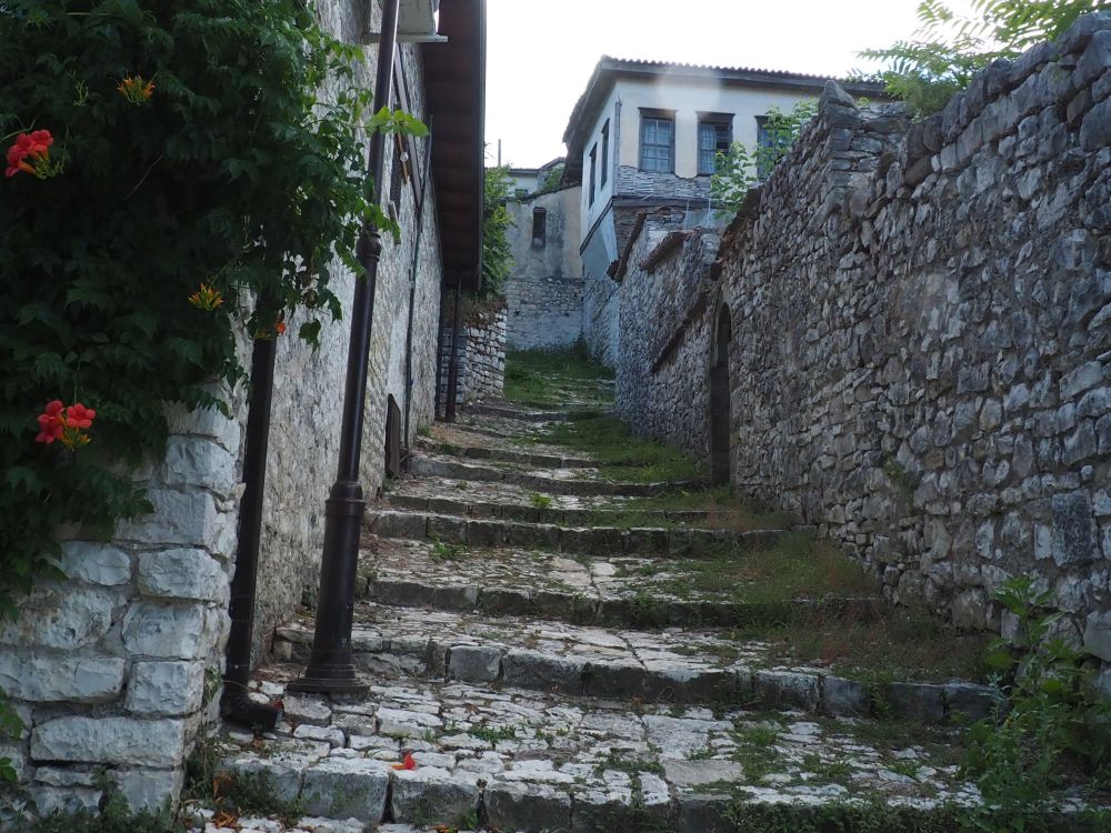 Stone cobbled street, quite steep, with a step up every two meters or so. 