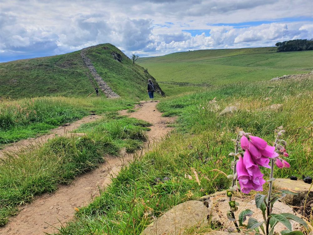 A view of the Northumbria countryside, with a piece of Hadrian's Wall.