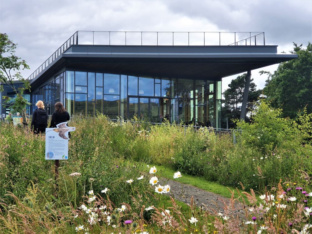 A modern building, single story, glass walls, a rooftop terrace, surrounded by wildflowers.