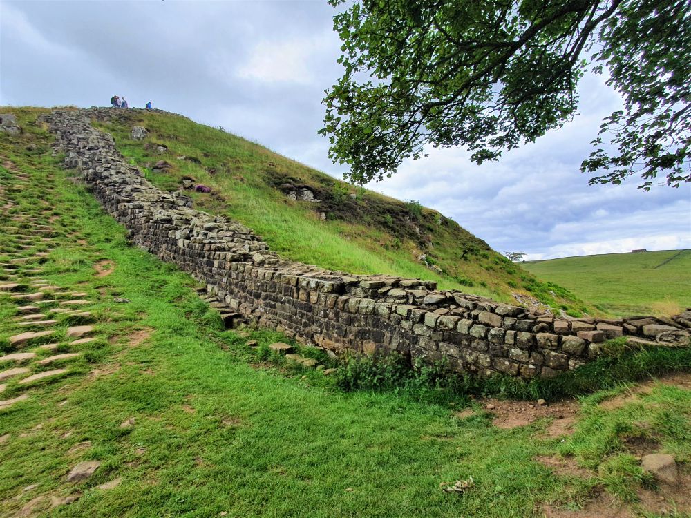 A section of Hadrian's wall, in neat rows of cut stone, climbs a gentle hill surrounded by grassy fields.