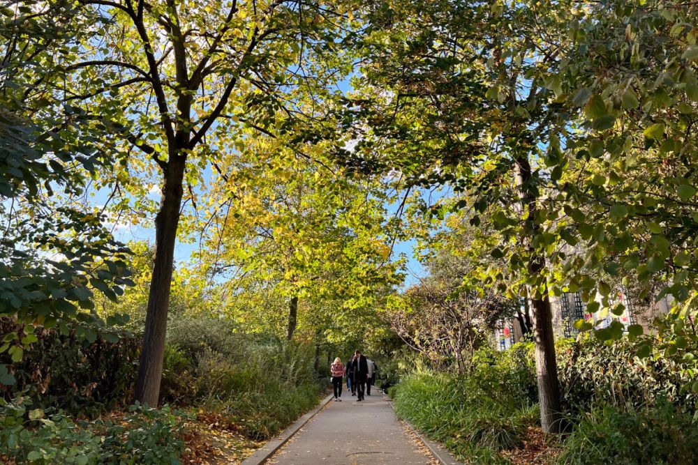 A path straight ahead, with trees on either side and a few people walking on the path in the distance.