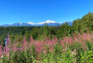 In the foreground, a field with colorful wildflowers. Beyond that, a forest, and beyond that, a range of mountains with one taller than the other completely covered in snow.