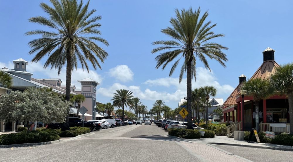 A shopping street lined with palm trees, single-story shops on either side.