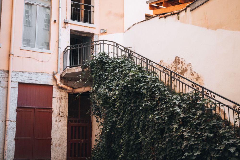 A stairway along a wall goes to the second story. Its railing is covered in vines.