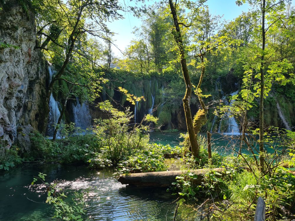 Several waterfalls tumble down a crescent-shaped cliff into a green pool of water.