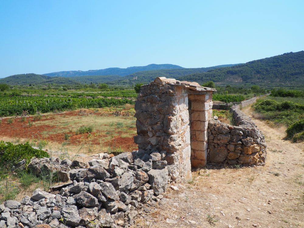 A rocky road, with a stone wall along its edge, with a simple stone gate. Beyond the gate, a field with some grapevines visible in the distance.