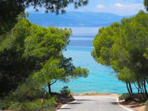 Looking down a road toward blue sea, trees along the road on either side.