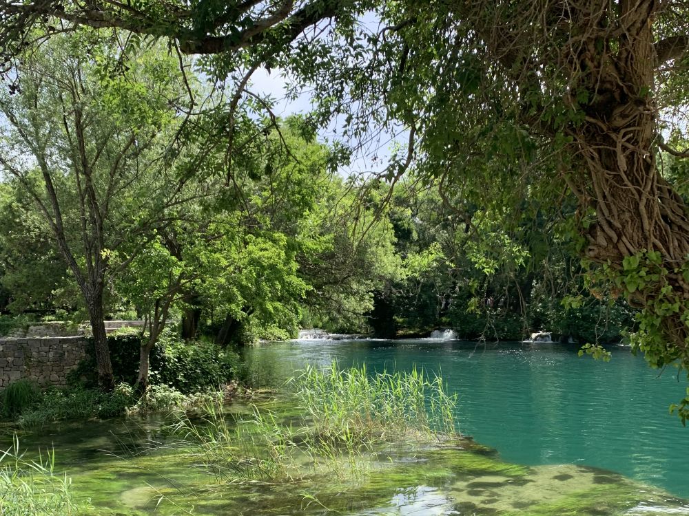 A blue-water pond with trees surrounding it, with a few small waterfalls into it visible between the trees.