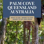 Text: Palm Cove Queensland Australia: What to see - where to stay - where to eat and drink (and the Rachel's Ruminations logo). Image: lots of trees.