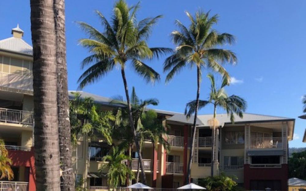 A hotel building with palm trees in front of it.