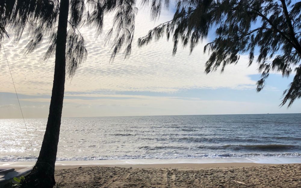 Looking straight out at a very calm sea from a white sand beach, framed by trees.