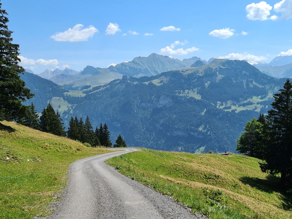 A dirt road leads into the distance and, in the background, mountains.