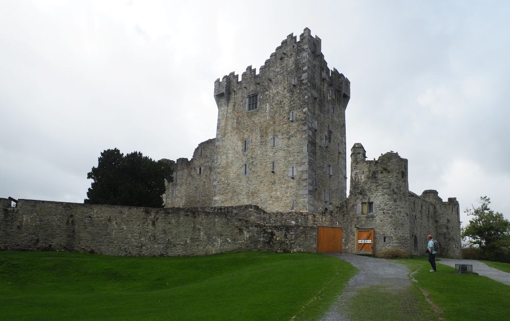 Typical tower house, with Irish-style crenellations at the top and a wall aorund it.