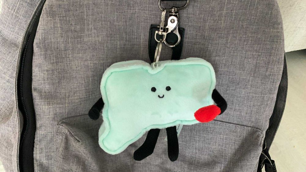 A stuffed figure the shape of Connecticut, with little arms and legs on the sides and bottom and eyes and a mouth sewn on the front.