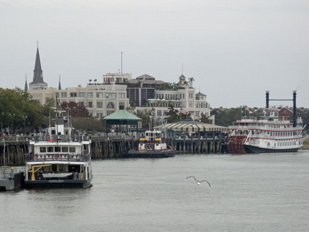 A Mississippi river view with several boats and piers.