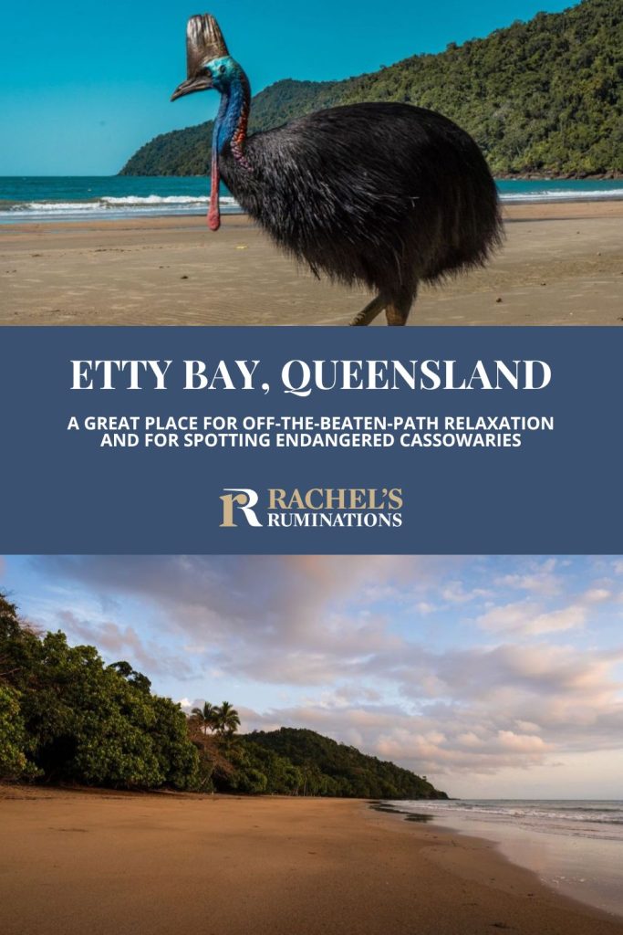 Text: Etty Bay, Queensland: A great place for off-the-beaten-path relaxation and for spotting endangered cassowaries. Image: above, a cassowary; below, the beach.