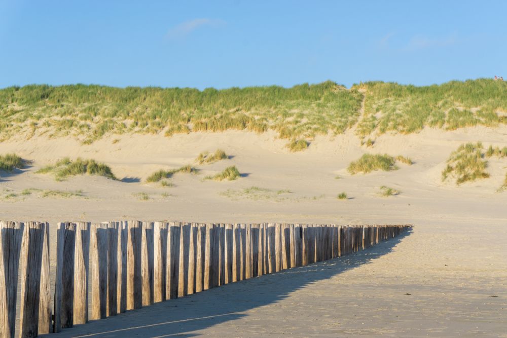 Looking at the dunes from the beach, with a row of stakes for a breakwater.