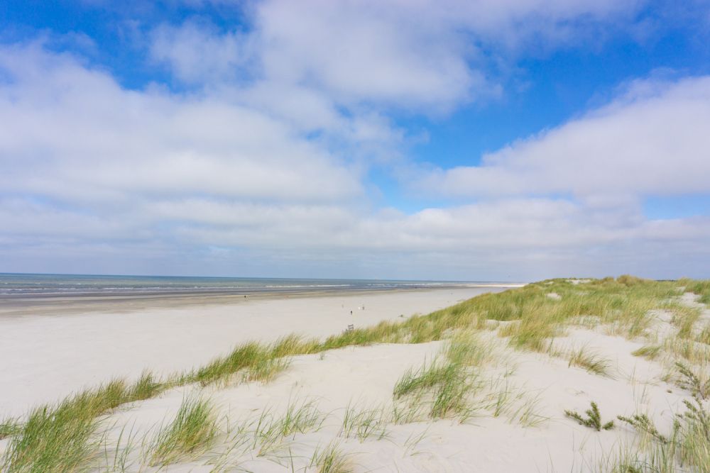 A view over dunes to a very long sandy beach, with only a few people looking like dots in the distance.