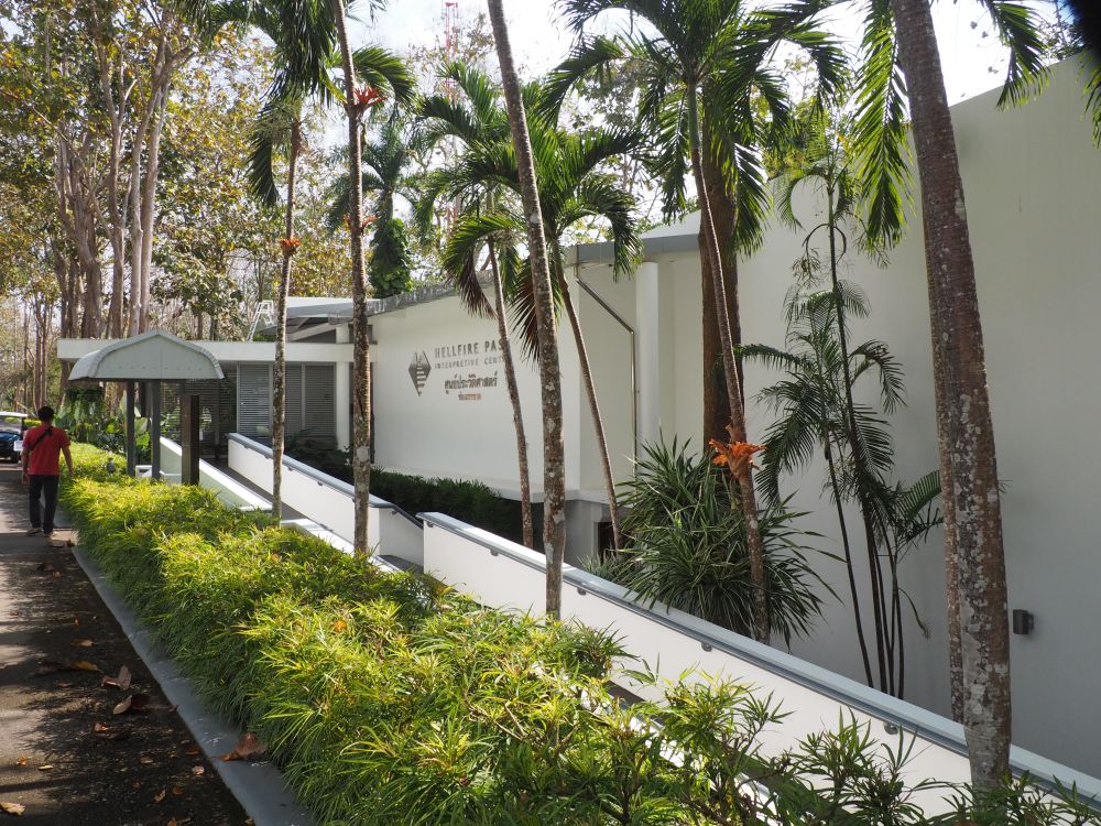 A simple modern white building, with a row of palm trees in front of it.